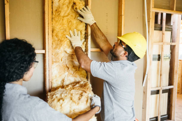 Best Radiant Barrier Insulation  in Tok, AK